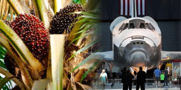 AS Bakal Kecualikan Tarif Minyak Sawit & Aeroangkasa Malaysia