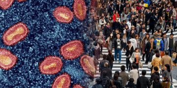 Kes Pertama Virus Mpox Clade 1b Dikesan Di Jepun