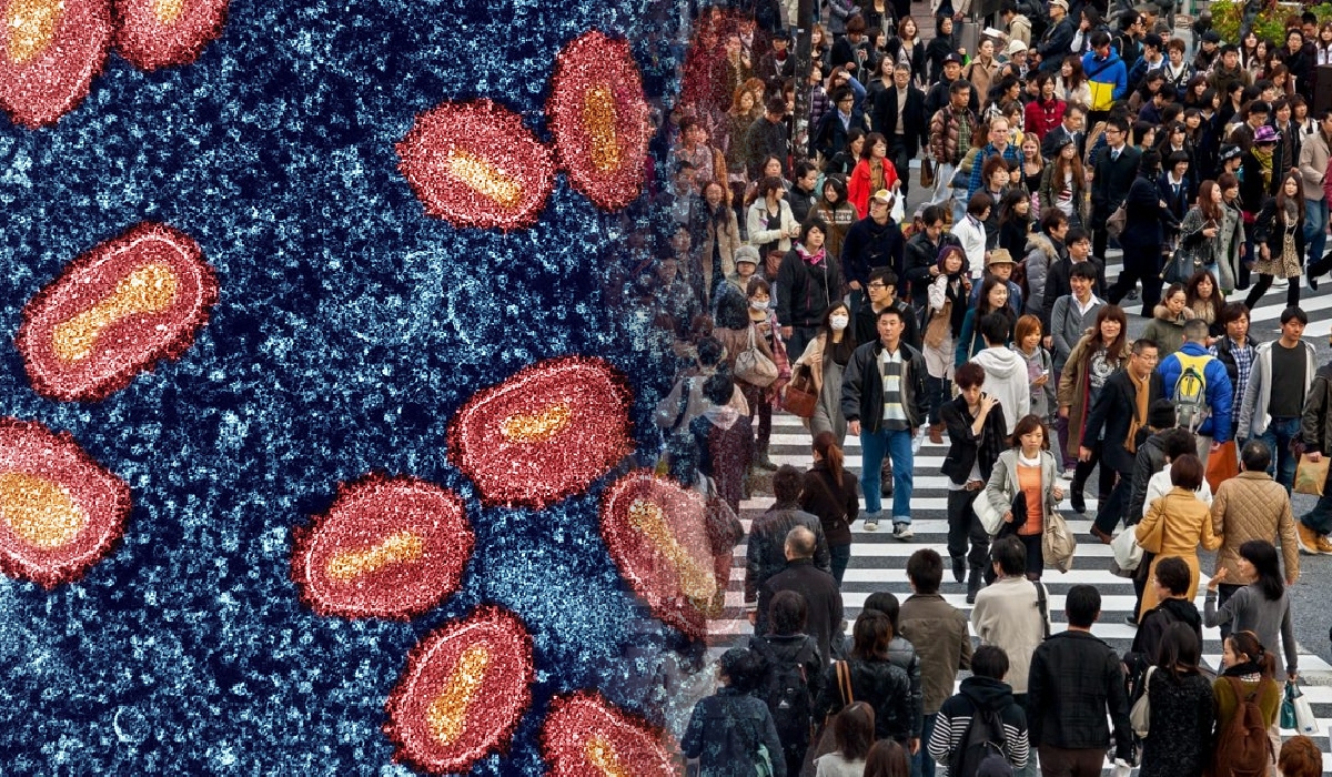 Kes Pertama Virus Mpox Clade 1b Dikesan Di Jepun