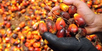 Harga Minyak Sawit Dijangka Kekal RM4,200-RM4,500 Per Tan