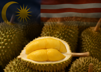 Eksport Durian Malaysia Ke China Cecah RM6.37 Bilion!