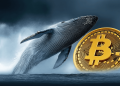 Transaksi ‘Whale’ Bitcoin Catat Aliran Tertinggi Mingguan!