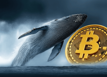 Transaksi ‘Whale’ Bitcoin Catat Aliran Tertinggi Mingguan!