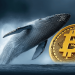 Transaksi ‘Whale’ Bitcoin Catat Aliran Tertinggi Mingguan!