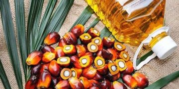 Stok Minyak Sawit Meningkat, Eksport Menyusut