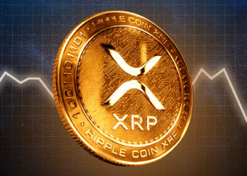Pelabur Besar Kumpul XRP – Tanda Awal Lonjakan Harga Akan Datang?
