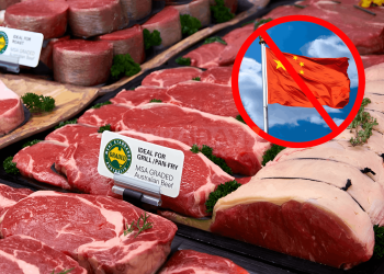 China Hadkan Import Daging Lembu Australia Dengan Tarif 55%!