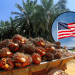 FGV Kembali Dibenarkan Eksport Minyak Sawit Malaysia ke Amerika Syarikat!