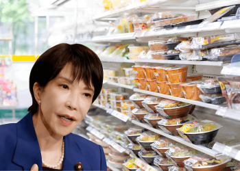 Menjelang Pilihan Raya, Jepun Pertimbang ‘Zero Tax’ Untuk Makanan?