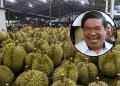 China Kini Lebih Minat Durian Thailand & Vietnam Berbanding Malaysia – Mat Sabu