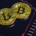 Harga Bitcoin Menjunam, Tapi Dana ETF Masih Bertahan?