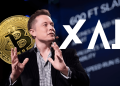 Elon Musk Cari Pakar Kripto Untuk Latih Sistem xAI!