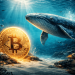 Whales Kuasai Pasaran, Bitcoin Bakal Menuju Ke $90,000?