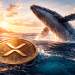 Whale XRP Pindah Hampir $600 Juta, Apa Yang Berlaku Sebenarnya?