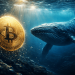 Whale Bitcoin Rugi $200 Juta Sehari, Apa Yang Berlaku?