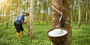 Pasaran Getah Berisiko Susut Susulan Gangguan Bekalan Global