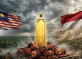 Malaysia vs Indonesia: Perang Harga Minyak Sawit Kini Mula Ancam Poket Pekebun