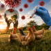 Selesema Burung H5N1 Menular Global, Bekalan Makanan Kini Terancam?