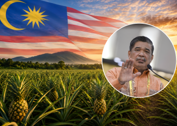 Nanas Malaysia Kini Dieksport Ke New Zealand, Sasar Nilai Cecah RM4.3 Juta Setahun!