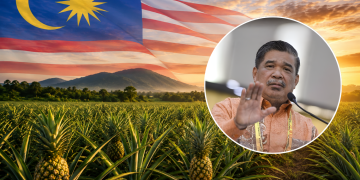 Nanas Malaysia Kini Dieksport Ke New Zealand, Sasar Nilai Cecah RM4.3 Juta Setahun!