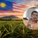 Nanas Malaysia Kini Dieksport Ke New Zealand, Sasar Nilai Cecah RM4.3 Juta Setahun!