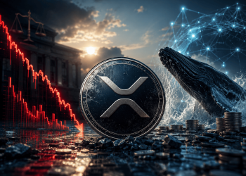 XRP Jatuh 69% Dari Paras Tertinggi Tapi Pelabur Besar Terus Membeli?