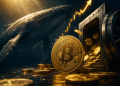 Whale Borong Bitcoin, Adakah BTC Bersedia Ke $70,000?