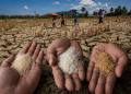 Perang Iran, El Niño Ancam Makanan Malaysia