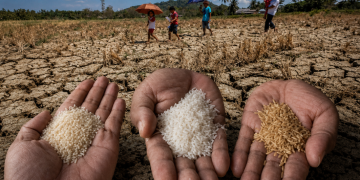 Perang Iran, El Niño Ancam Makanan Malaysia