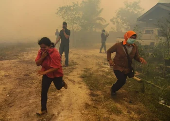 Indonesia Disaman, Didakwa Cuai Tangani Kebakaran Hutan!
