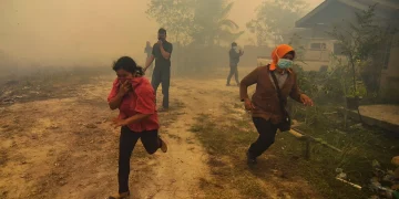 Indonesia Disaman, Didakwa Cuai Tangani Kebakaran Hutan!