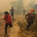 Indonesia Disaman, Didakwa Cuai Tangani Kebakaran Hutan!